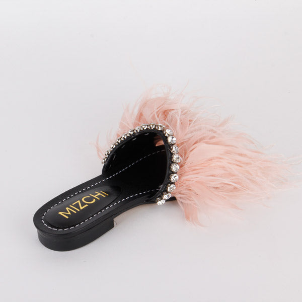 TAZO - fancy slipper